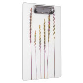 Porte-bloc Grasses colorées (Swatch)