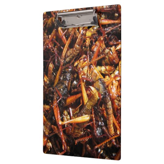 Porte-bloc Grasshopper frit (Takkataen Thot) Alimentation asi (Gauche)