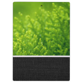 Porte-bloc Green leaves background (Dos)