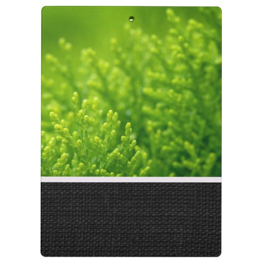 Porte-bloc Green leaves background (Dos)