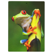 Porte-bloc Grenouille 2 Porte - bloc (Dos)