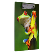 Porte-bloc Grenouille 2 Porte - bloc (Swatch)
