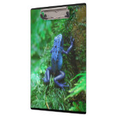 Porte-bloc Grenouille bleue de dard de poison (Gauche)