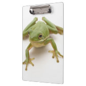 Porte-bloc Grenouille d'arbre verte (Gauche)