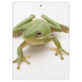 Porte-bloc Grenouille d'arbre verte (Dos)