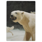 Porte-bloc Grimace d'ours blanc (Dos)