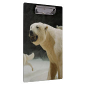 Porte-bloc Grimace d'ours blanc (Swatch)