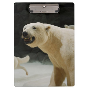 Porte-bloc Grimace d'ours blanc