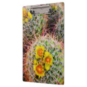 Porte-bloc Gros cactus baril, Californie (Gauche)