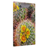 Porte-bloc Gros cactus baril, Californie (Swatch)