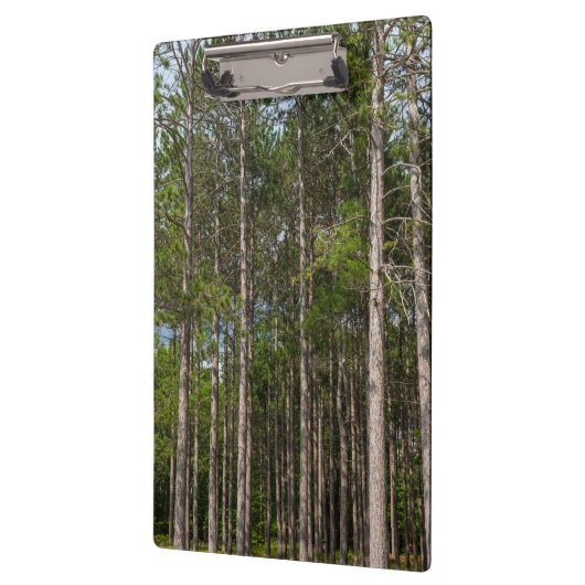 Porte-bloc Gros pins (Gauche)