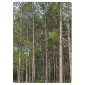 Porte-bloc Gros pins (Dos)