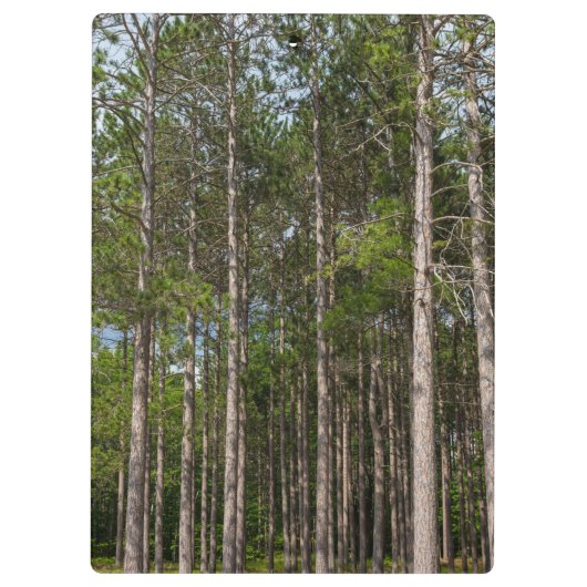 Porte-bloc Gros pins (Dos)