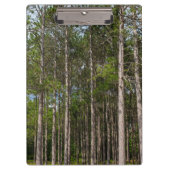 Porte-bloc Gros pins (Devant)