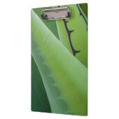 Porte-bloc Gros plan d'Agave (Gauche)