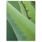 Porte-bloc Gros plan d'Agave (Dos)