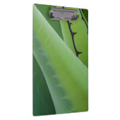 Porte-bloc Gros plan d'Agave (Swatch)