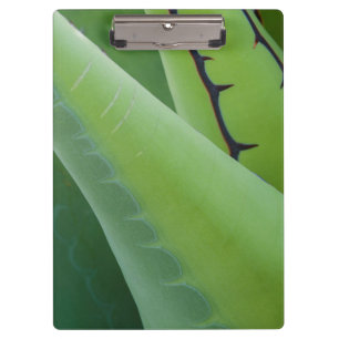 Porte-bloc Gros plan d'Agave