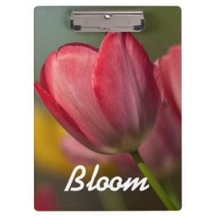 Porte-bloc Gros plan de tulipes rouges et jaunes dans un jard