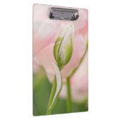Porte-bloc Gros plan sur tulipe et bourgeon (Swatch)