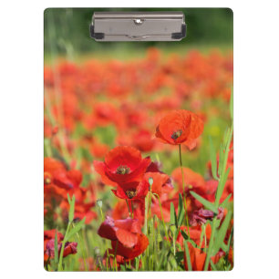 Porte-bloc Gros plan sur un champ de coquelicots, France