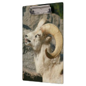 Porte-bloc Grosse corne Mouton rire (Gauche)