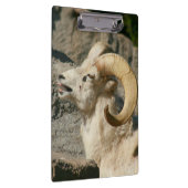 Porte-bloc Grosse corne Mouton rire (Swatch)