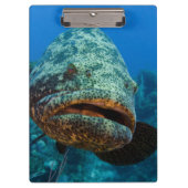 Porte-bloc Groupe de Atlantic (Devant)