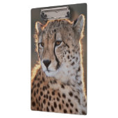 Porte-bloc Guépard regardant ailleurs (Gauche)