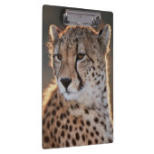 Porte-bloc Guépard regardant ailleurs (Swatch)