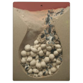 Porte-bloc Hachure d'oeufs de tortue de bébé (Dos)