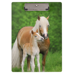 Porte-bloc Haflinger Horses mignonette Fosse Kiss maman Photo
