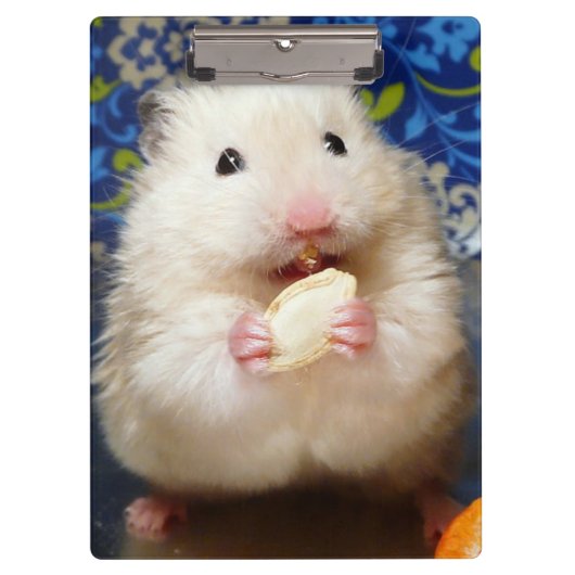Porte-bloc Hamster syrien en mousse Kokolinka (Devant)