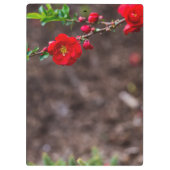 Porte-bloc Haut (Dos)