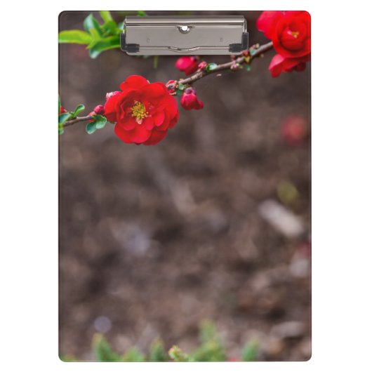 Porte-bloc Haut (Devant)