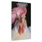 Porte-bloc Hen (Swatch)