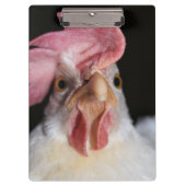 Porte-bloc Hen (Devant)