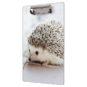 Porte-bloc Hérisson mignon de bébé (Gauche)