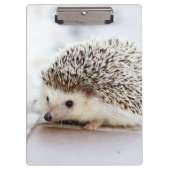 Porte-bloc Hérisson mignon de bébé (Devant)