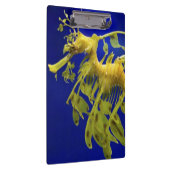 Porte-bloc Hippocampe (Swatch)