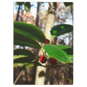 Porte-bloc Holly Leaves (Dos)