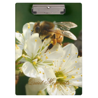 Porte-bloc Honey Bee Plum Blossom Nature Study Clipboard