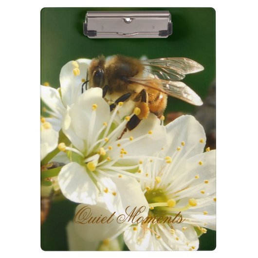 Porte-bloc Honey Bee Plum Blossom Nature Study Clipboard (Devant)