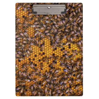 PORTE-BLOC HONEY BEES