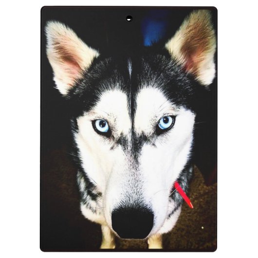 Porte-bloc Husky (Dos)