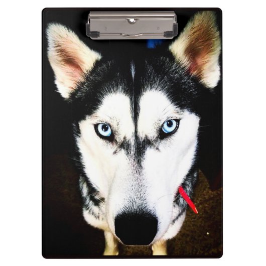 Porte-bloc Husky (Devant)