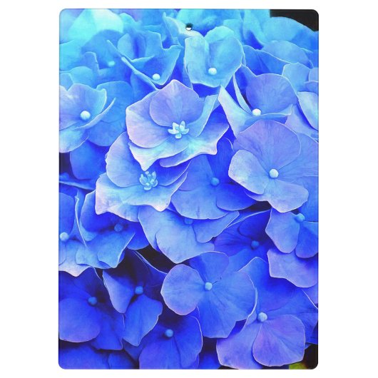 Porte-bloc Hydrangea Blues (Dos)