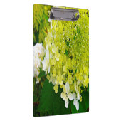 Porte-bloc Hydrangea Limelight Vert Chartreuse Élégant (Swatch)