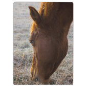 Porte-bloc Il Est Temps De Manger (Dos)