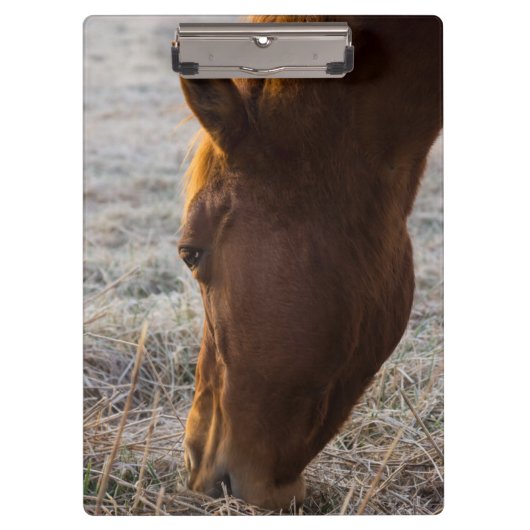 Porte-bloc Il Est Temps De Manger (Devant)
